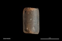 藏品(陶網墜)的圖片